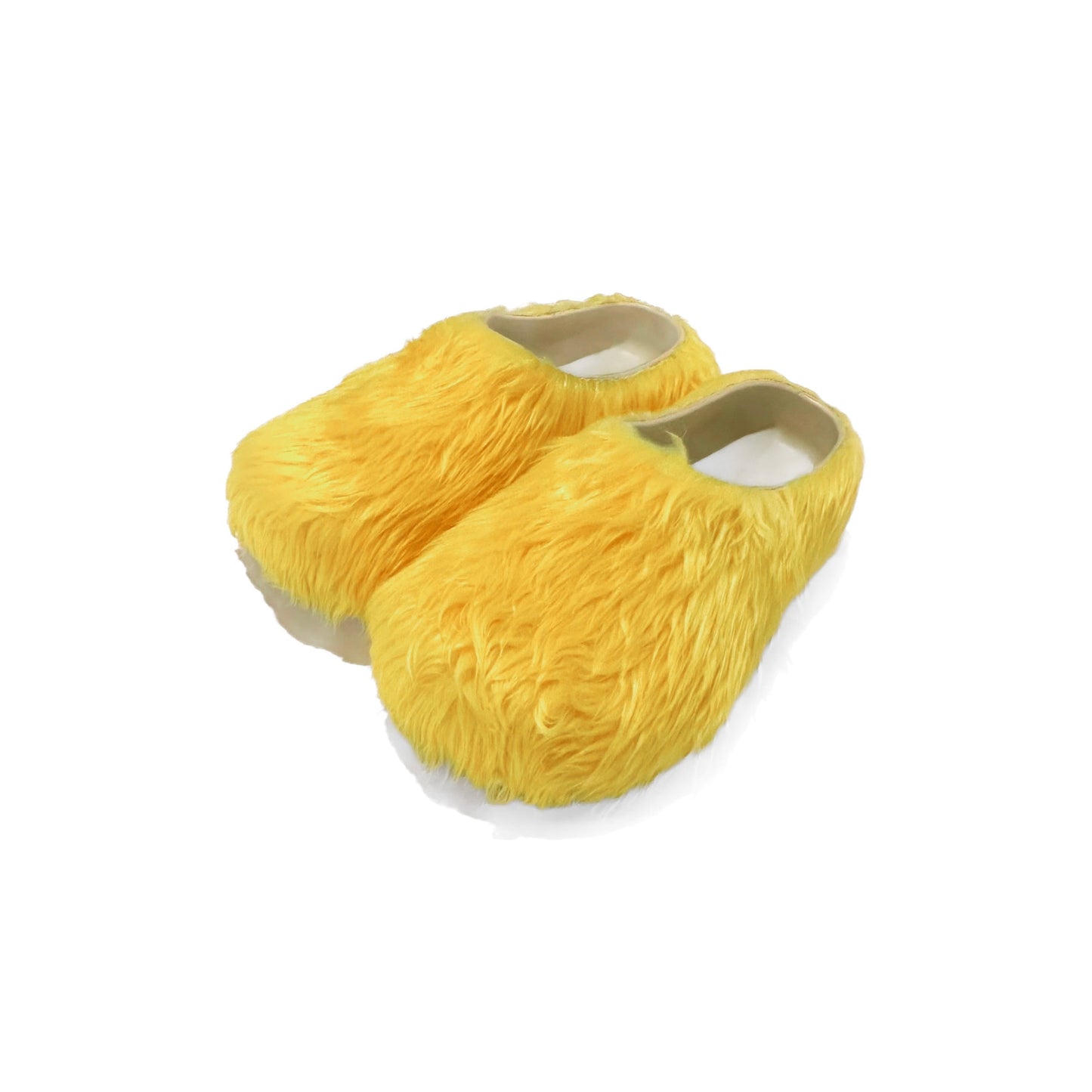 LEMON SLIDES
