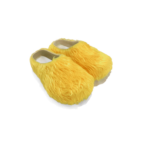 LEMONS